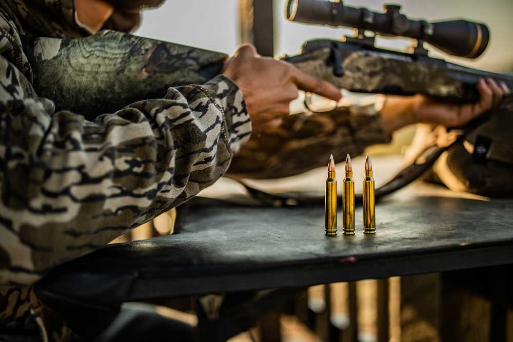 popular-calibers